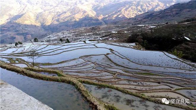 饮茶与饮水：各自的魅力AG真人九游会登录网址